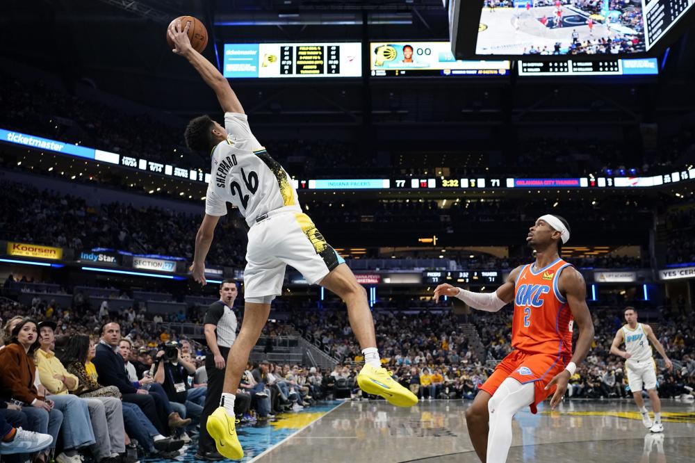 仅展现了马 仅展现了马