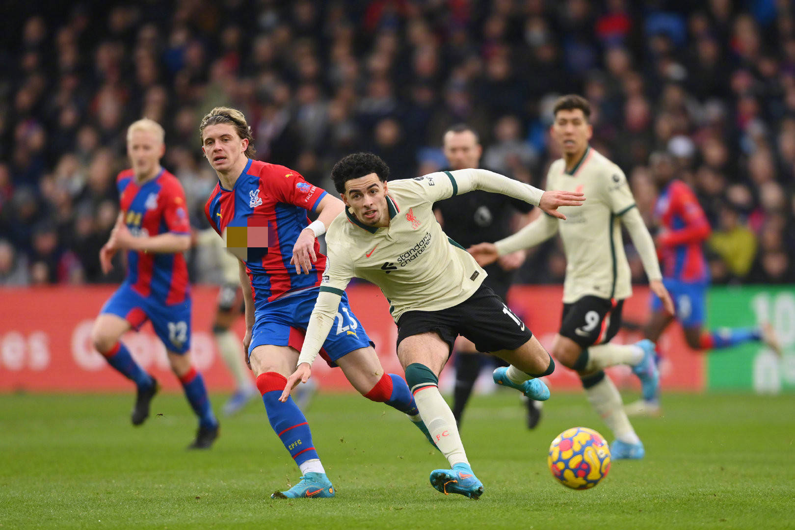 的领先优势 的领先优势